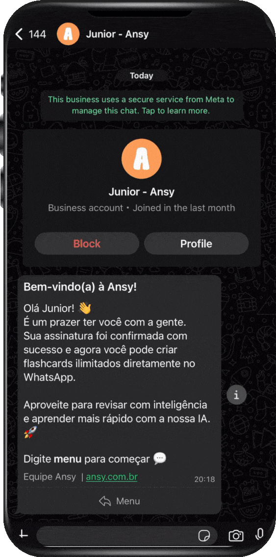 Demonstração da Ansy